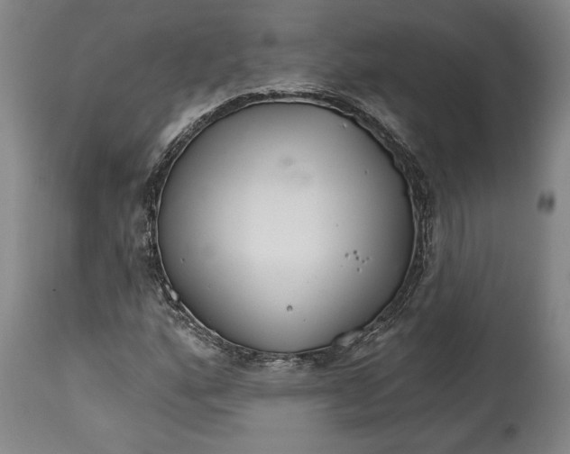 X0000114401160200911061531