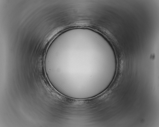 X0000114401162200911061531