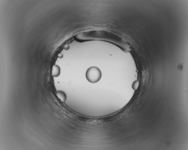 X0000114401165200911061531