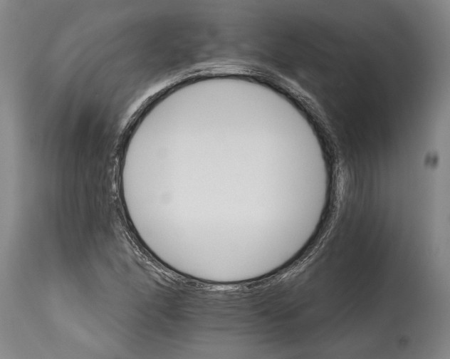 X0000114401166200911061531