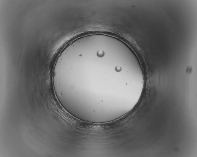 X0000114401167200911061531