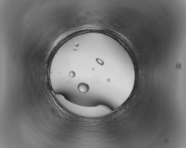 X0000114401168200911061531