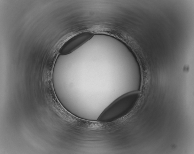 X0000114401169200911061531