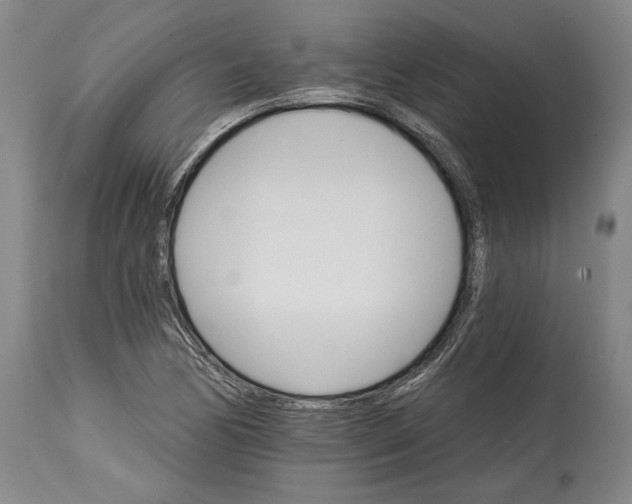 X0000114401170200911061531