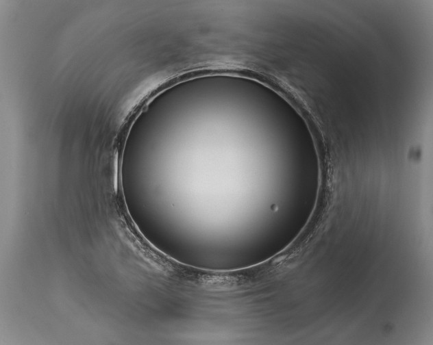 X0000114401171200911061531