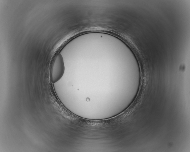 X0000114401173200911061531