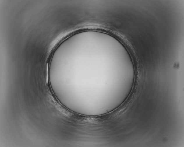 X0000114401175200911061531