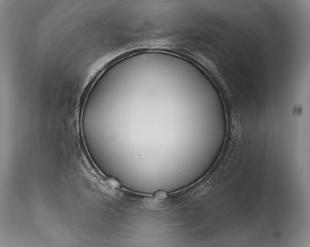 X0000114401176200911061531