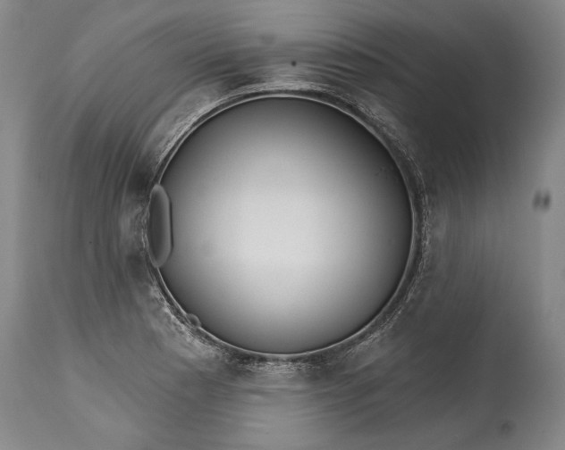 X0000114401177200911061531