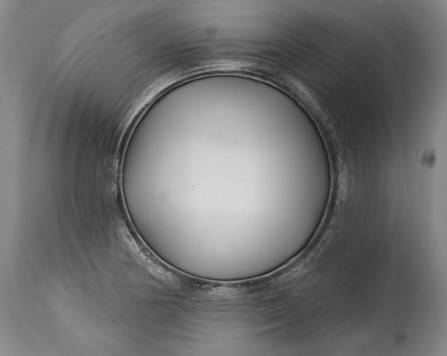 X0000114401178200911061531