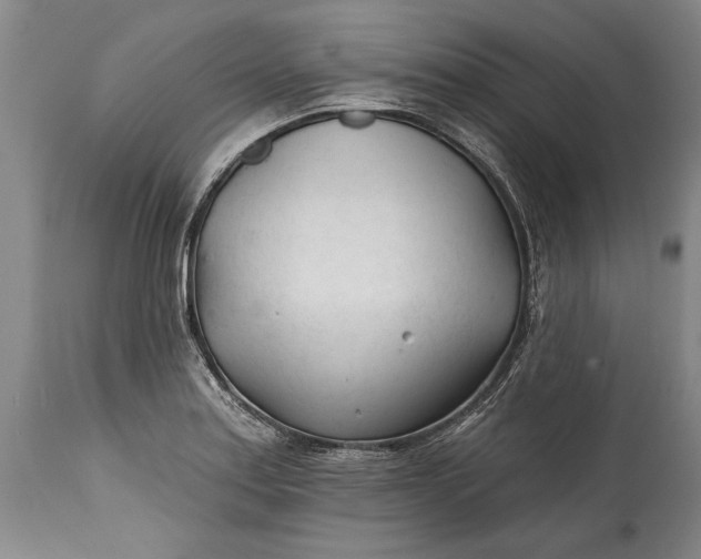 X0000114401179200911061531