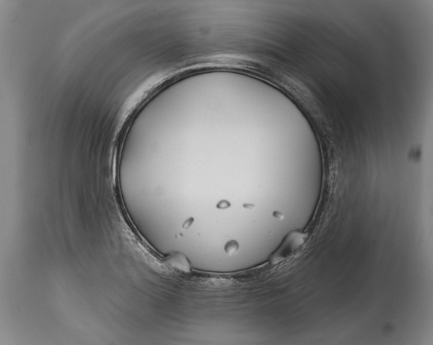 X0000114401180200911061531