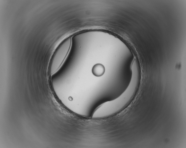 X0000114401181200911061531