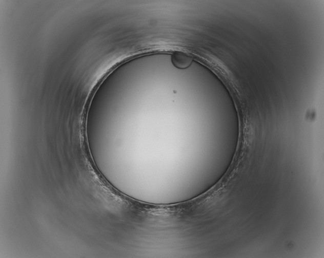 X0000114401182200911061531