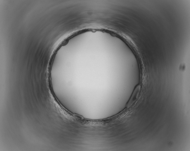 X0000114401183200911061531