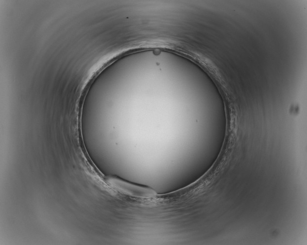 X0000114401184200911061531