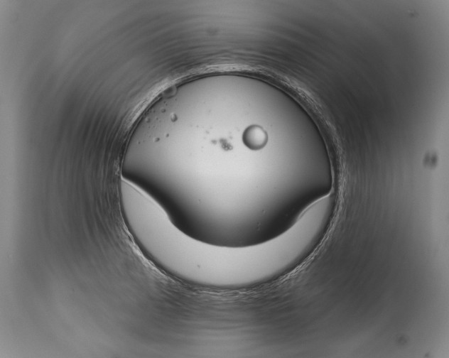 X0000114401185200911061531