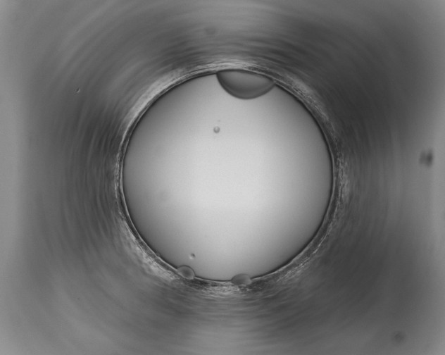 X0000114401186200911061531