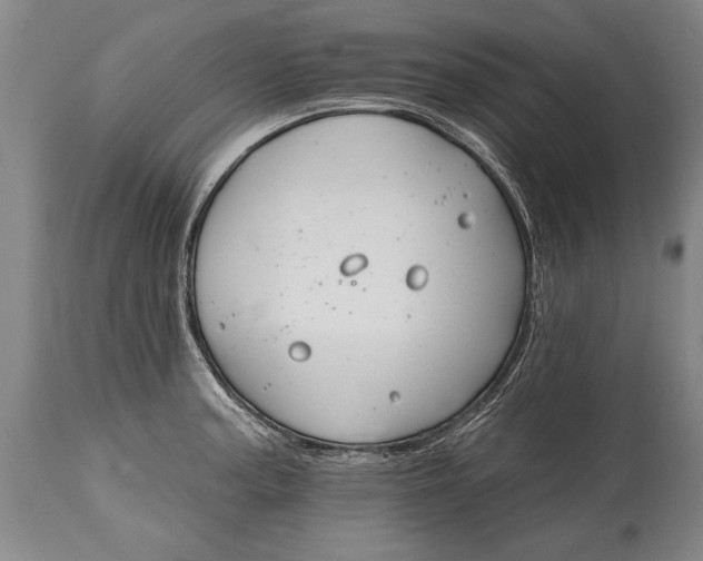 X0000114401187200911061531