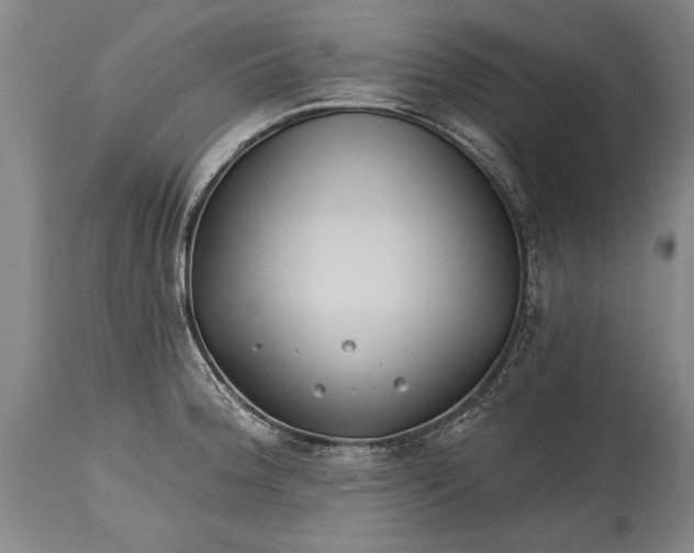 X0000114401188200911061531