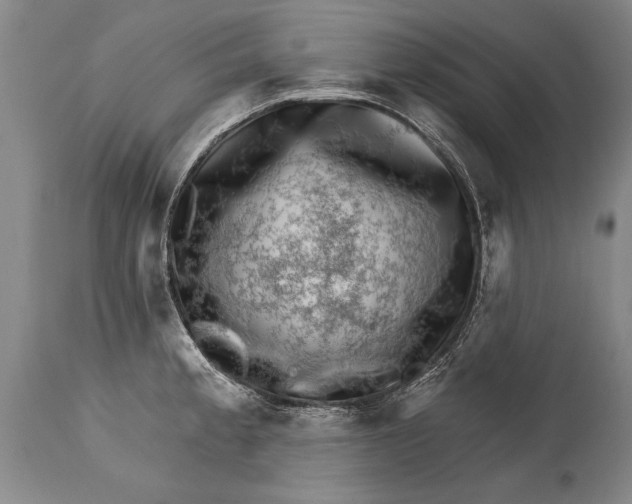 X0000114401189200911061531