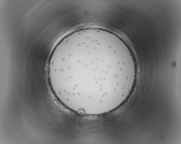 X0000114401190200911061531