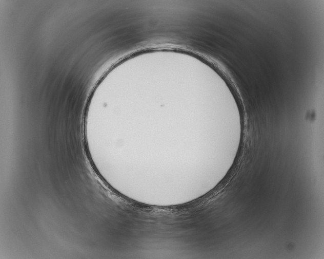 X0000114401191200911061531