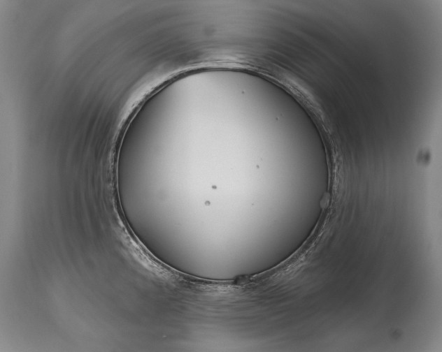 X0000114401192200911061531