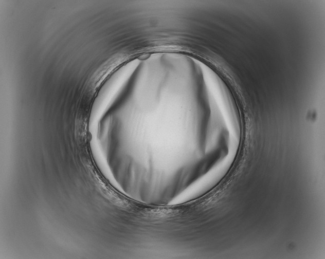 X0000114401193200911061531