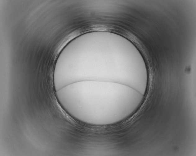 X0000114401194200911061531