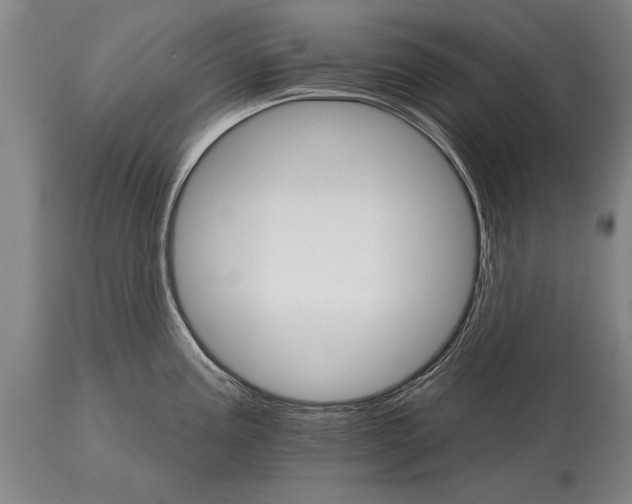 X0000114401195200911061531