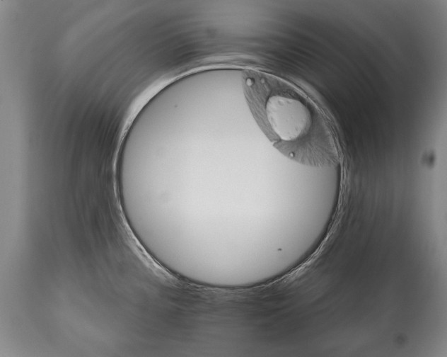 X0000114401196200911061531