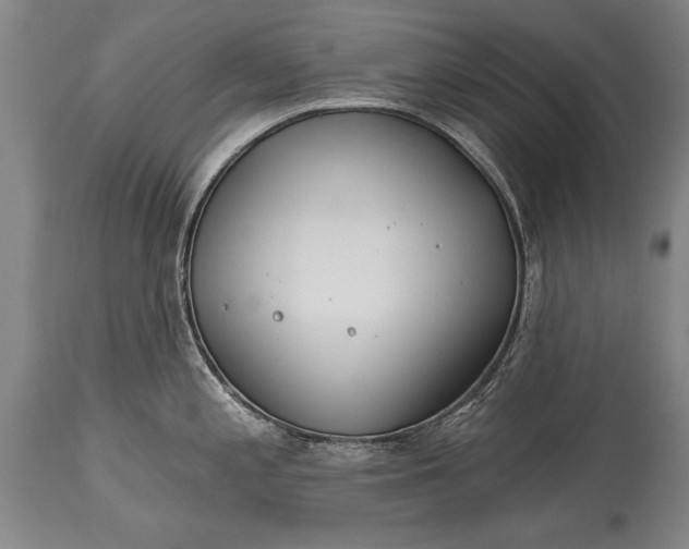 X0000114401197200911061531