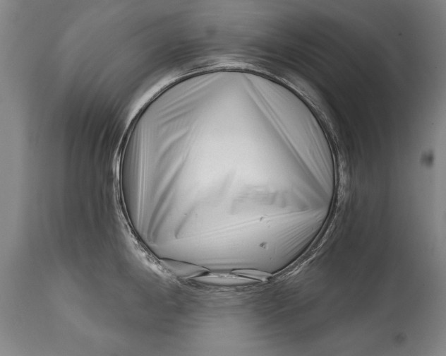 X0000114401198200911061531