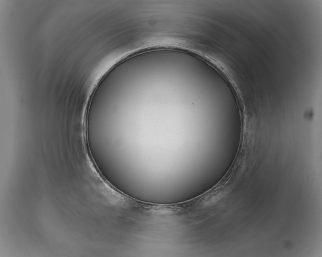 X0000114401199200911061531