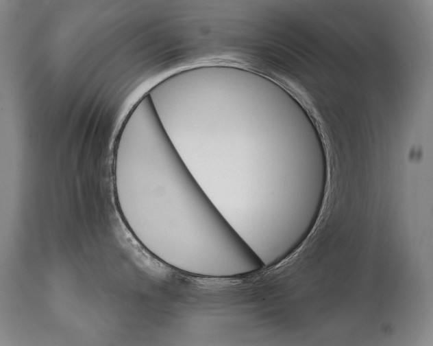 X0000114401200200911061531