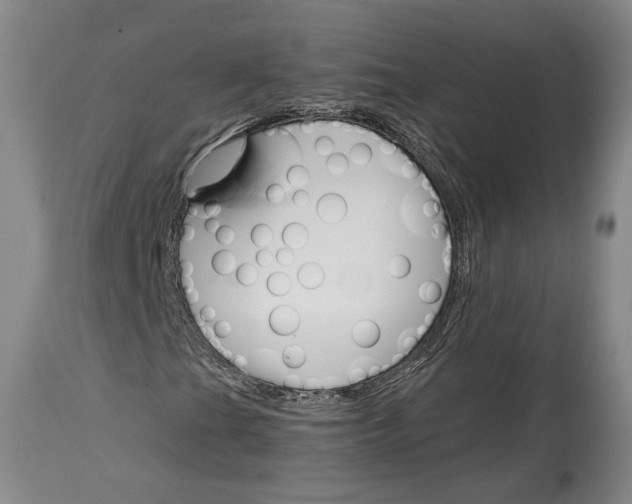 X0000114401201200911061529