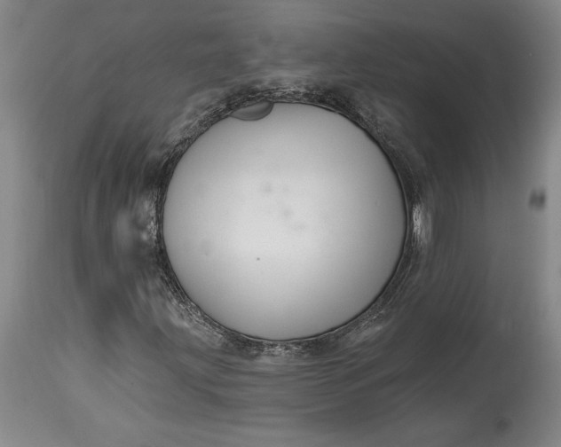 X0000114401203200911061529