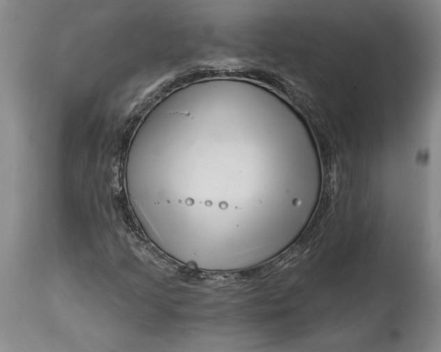 X0000114401205200911061530