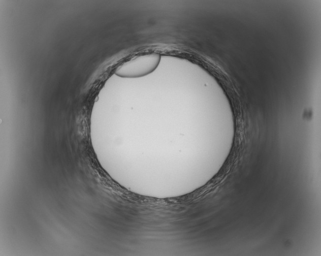 X0000114401207200911061530