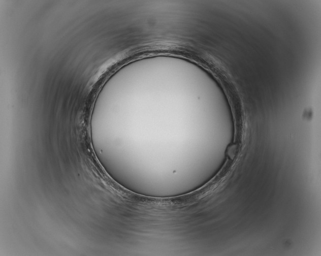 X0000114401210200911061530