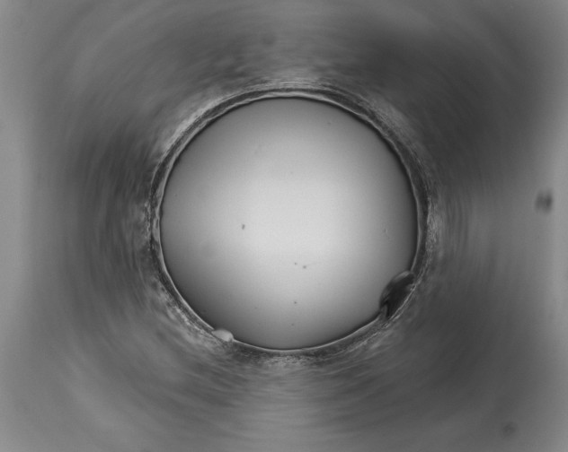 X0000114401212200911061530