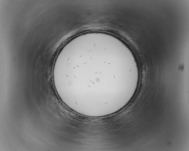 X0000114401213200911061530