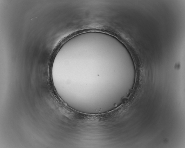 X0000114401214200911061530