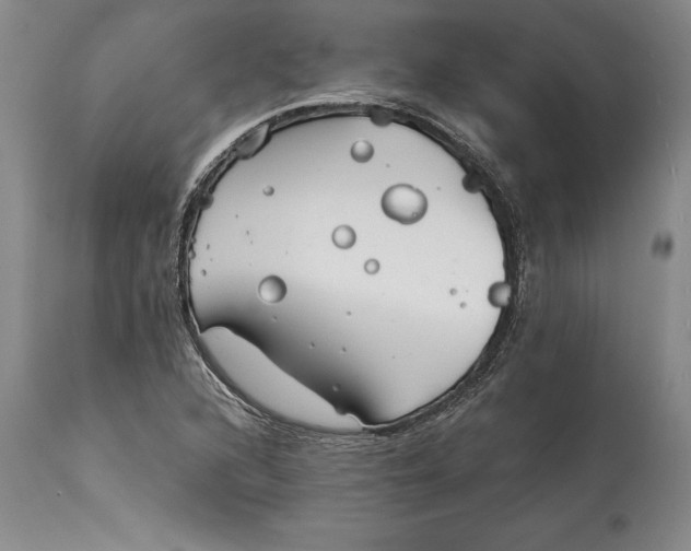 X0000114401216200911061530