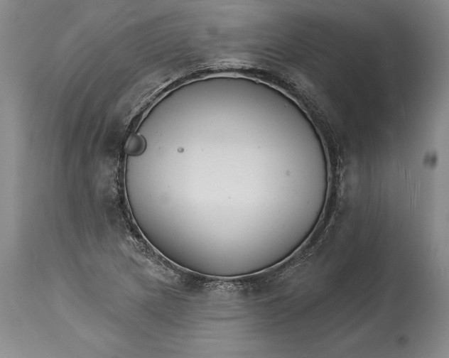 X0000114401217200911061530