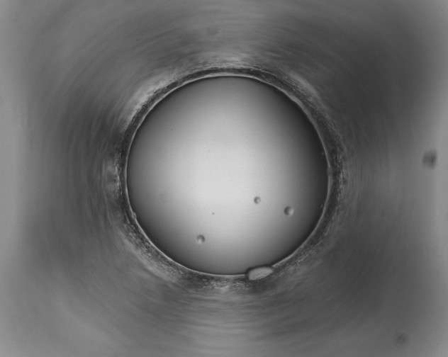 X0000114401218200911061530