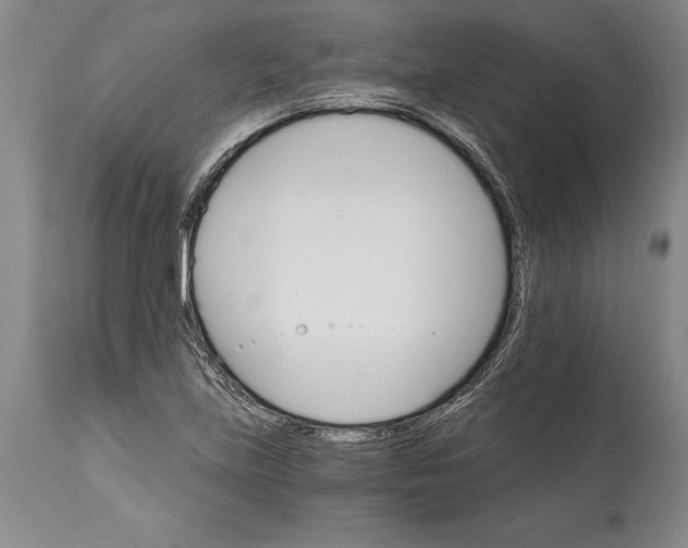 X0000114401219200911061530