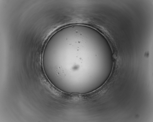 X0000114401220200911061530