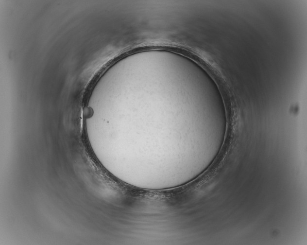 X0000114401221200911061530